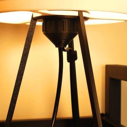 Crescent Lamp